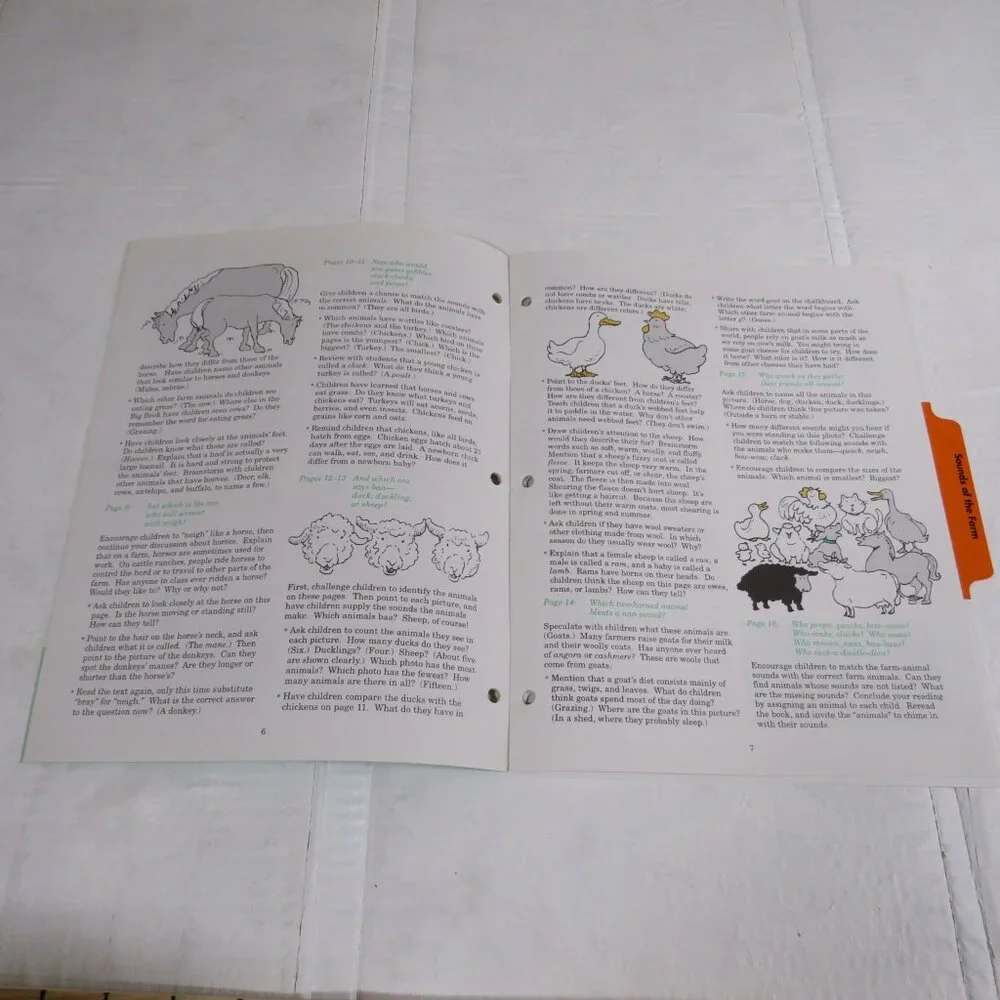 Sounds of the Farm BIG BOOK (almost 2 feet tall) with teacher pages Classroom